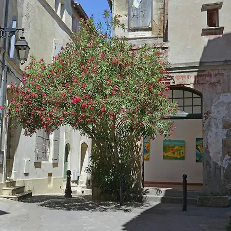 Vila Elegant Mansion In Provence